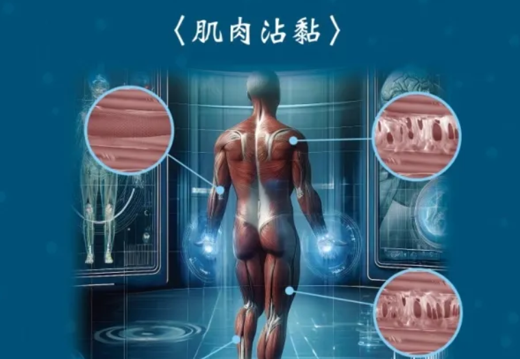 第二十六届高交會展商萬倍爾：創新電療按摩裝置之技術發展與應用研究
